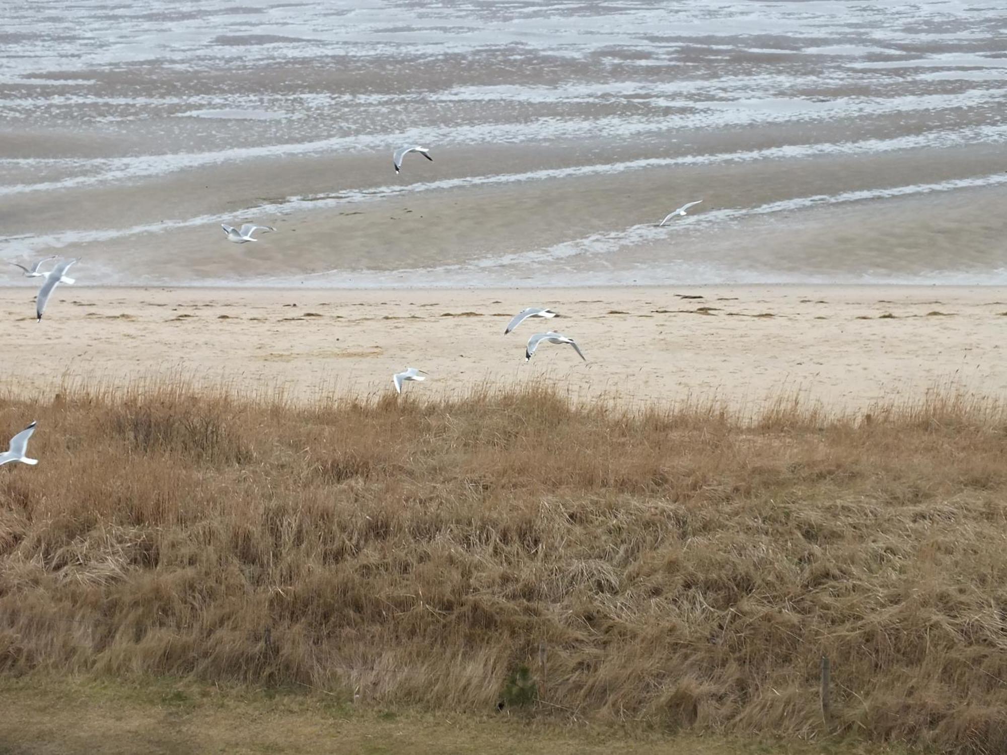 Watten-Blick 1 Cuxhaven Exteriér fotografie